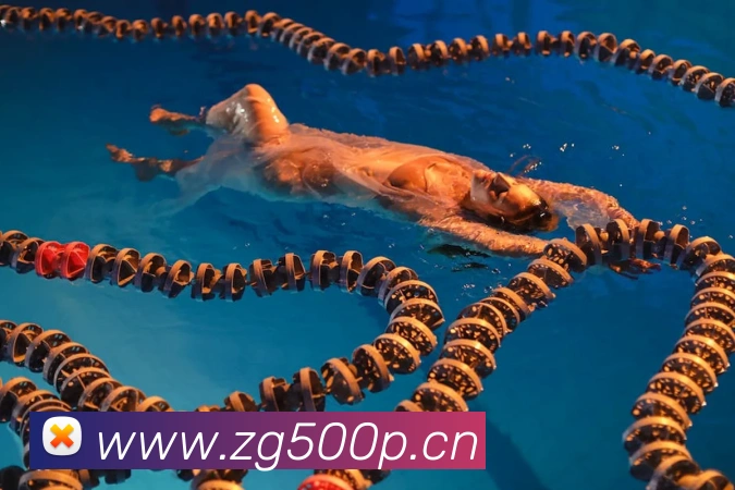 三亿体育app官方下载入口品牌故事