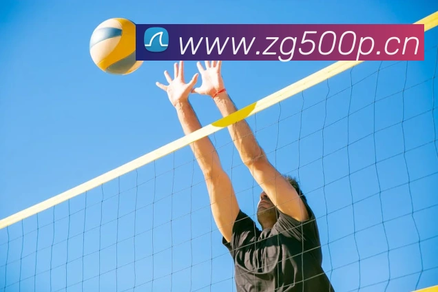 三亿体育app官方下载入口服务体系